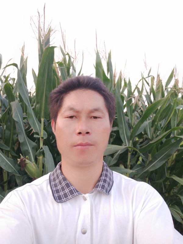 四海游龙的第一张照片--黄冈相亲服务中心