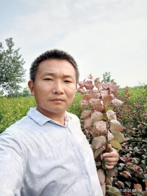 孩子爸的第二张照片--黄冈相亲服务中心