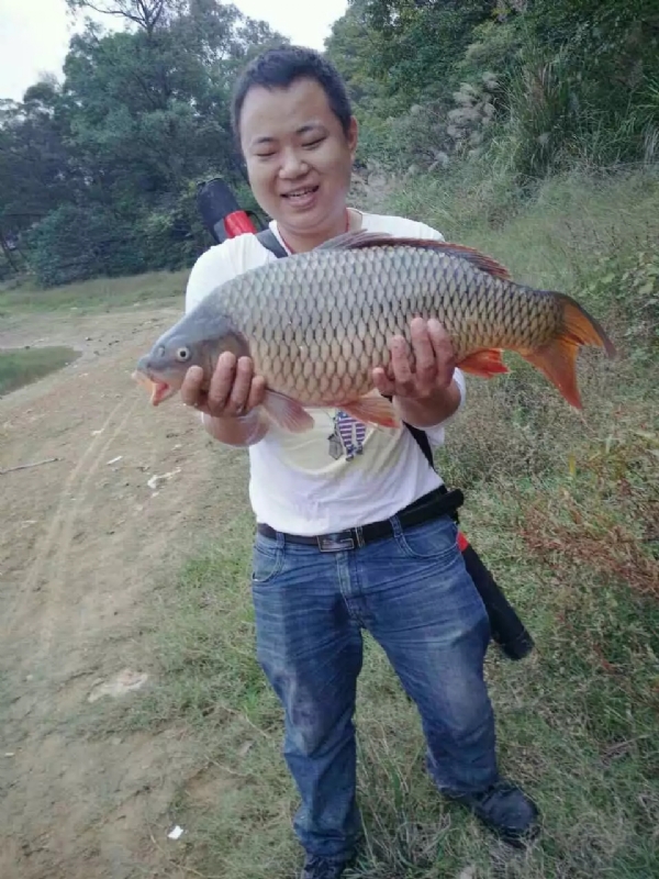 迷路的男人的第一张照片--黄冈相亲服务中心