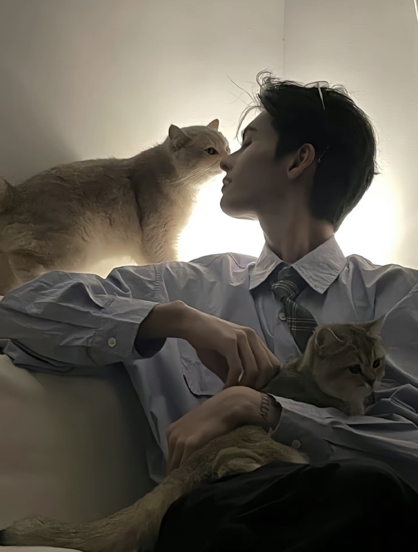 怪猫的第一张照片--黄冈相亲服务中心