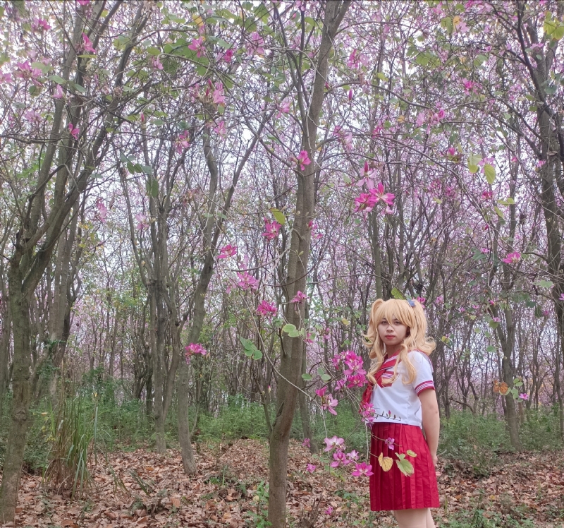 暮秋的第四张照片--黄冈相亲服务中心